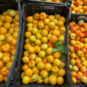 ABRICOT BIO 2KG